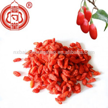 China wolfberry dried grade b 380 size gojiberry for sale